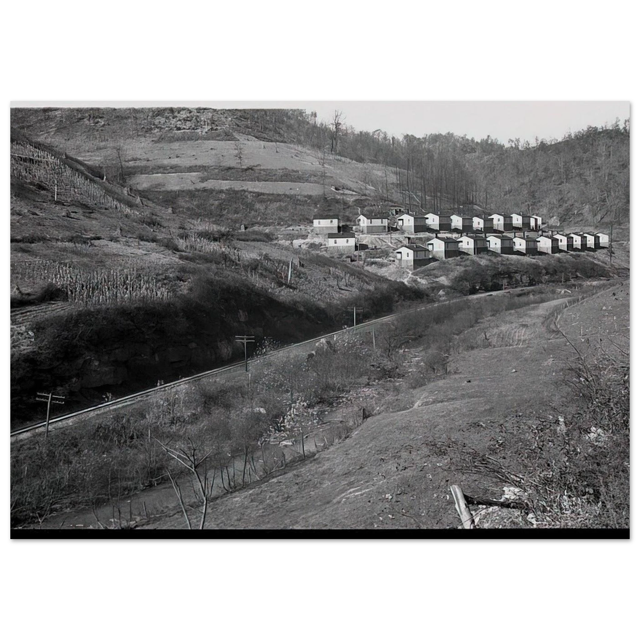 034b7779-c0ad-4f99-8170-7eb5b1dae682