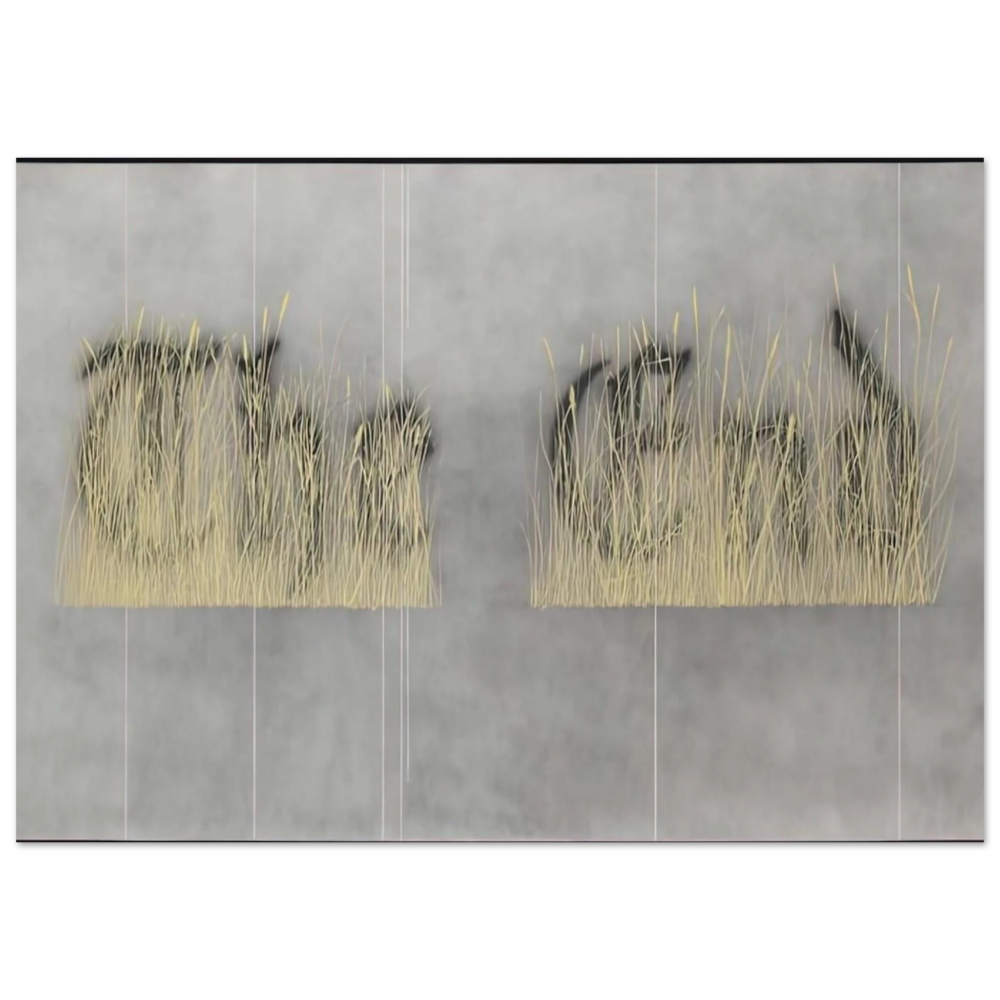 0bfe8337-5923-44ed-8837-c8789d266eda