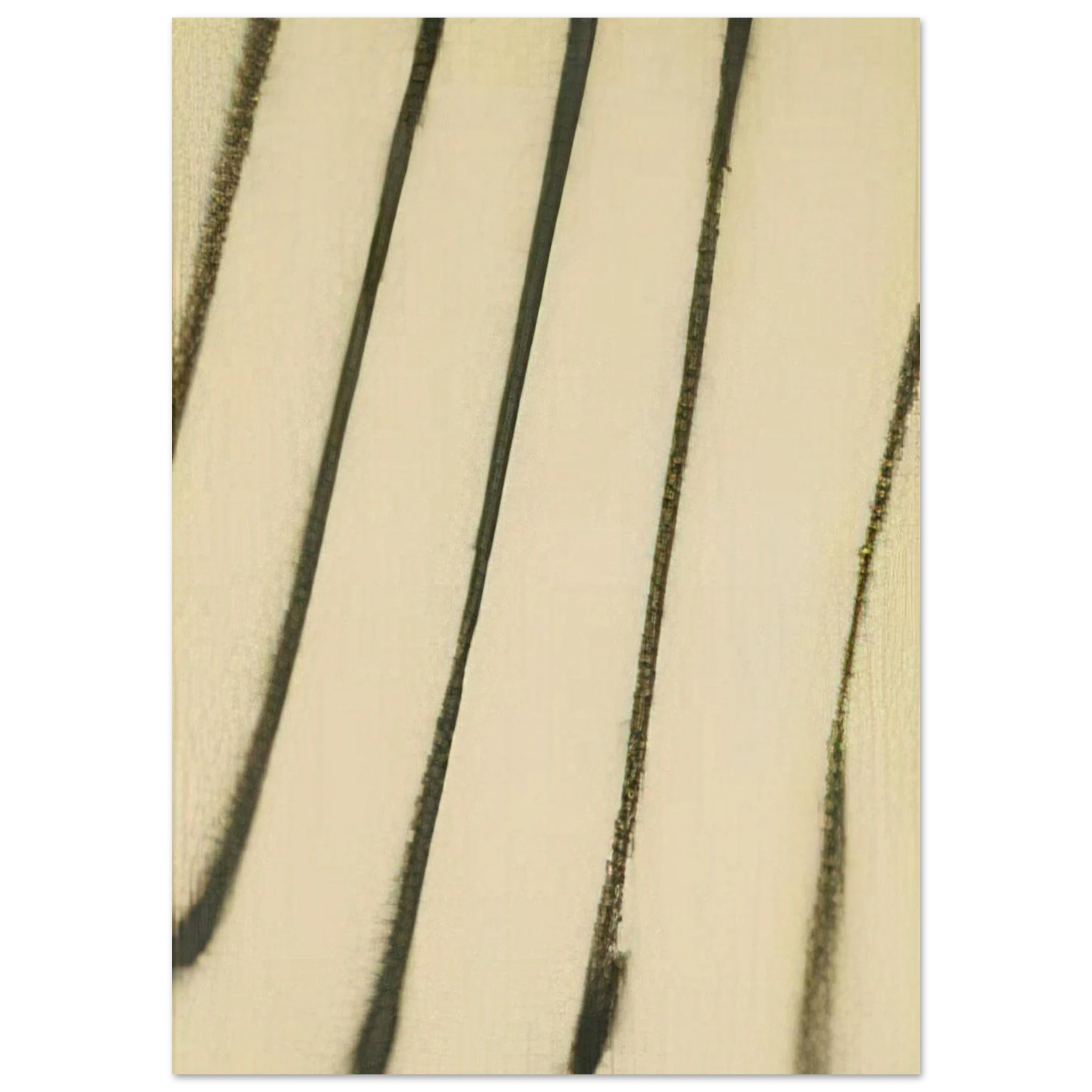 0c83a0a4-a6d0-4d7f-b99c-d5d367e2a52d