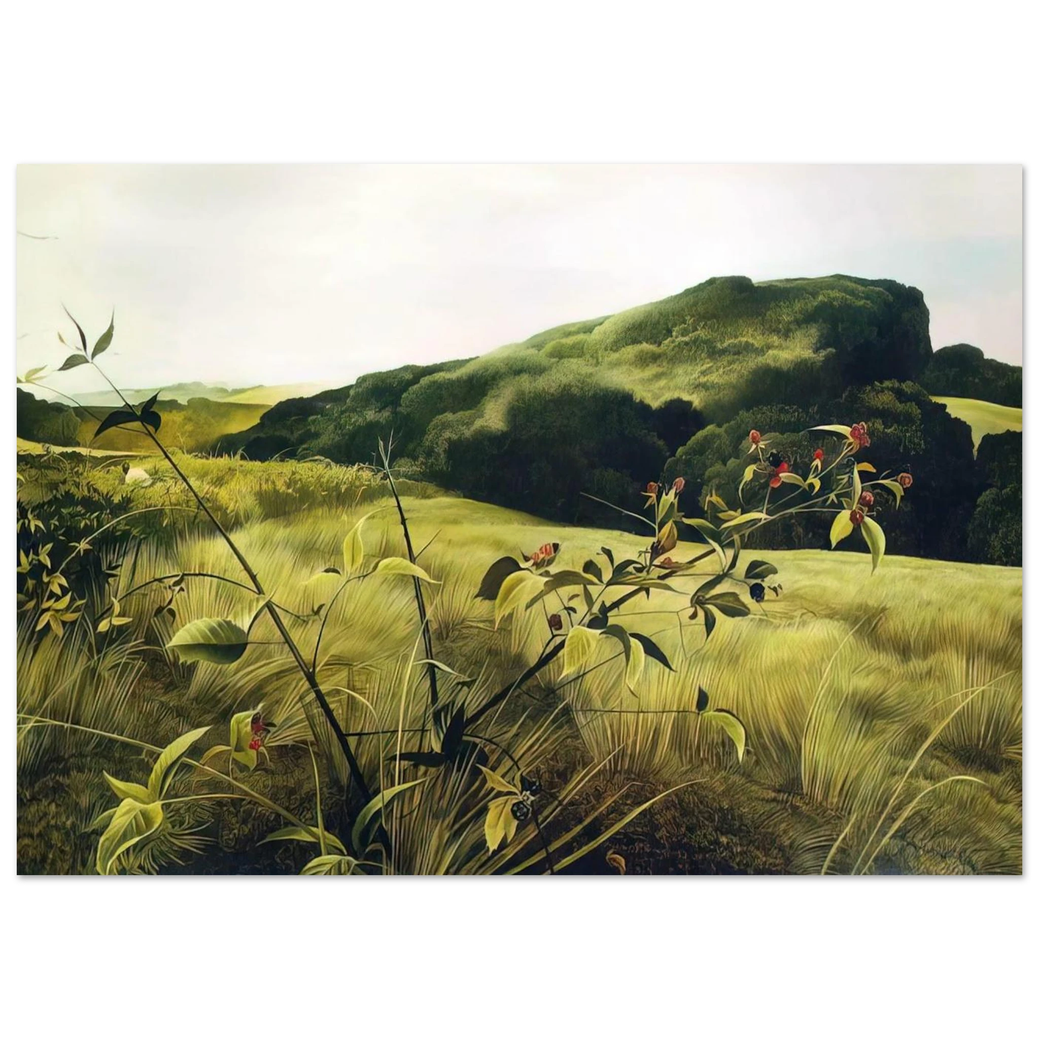 13530e3c-9794-4da1-90b1-7c89211fbea4