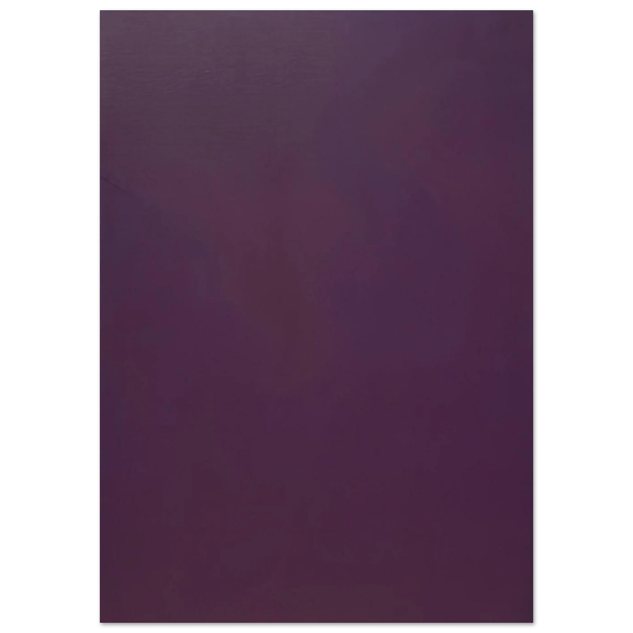 1e51e5c3-368f-46e4-8370-0b2f53879eba