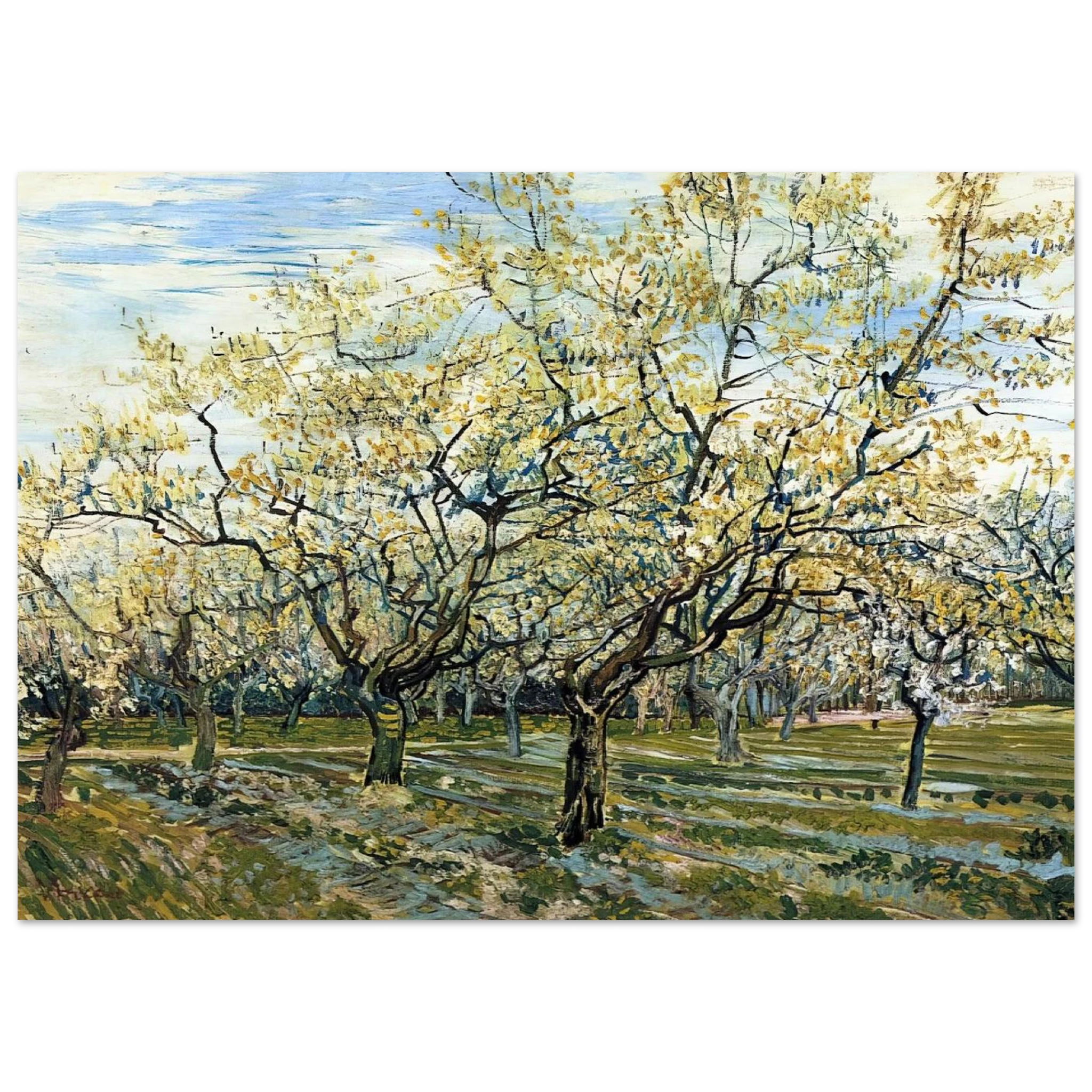 3a8d0e06-f19d-44e8-a5b4-d3246d5ea32f