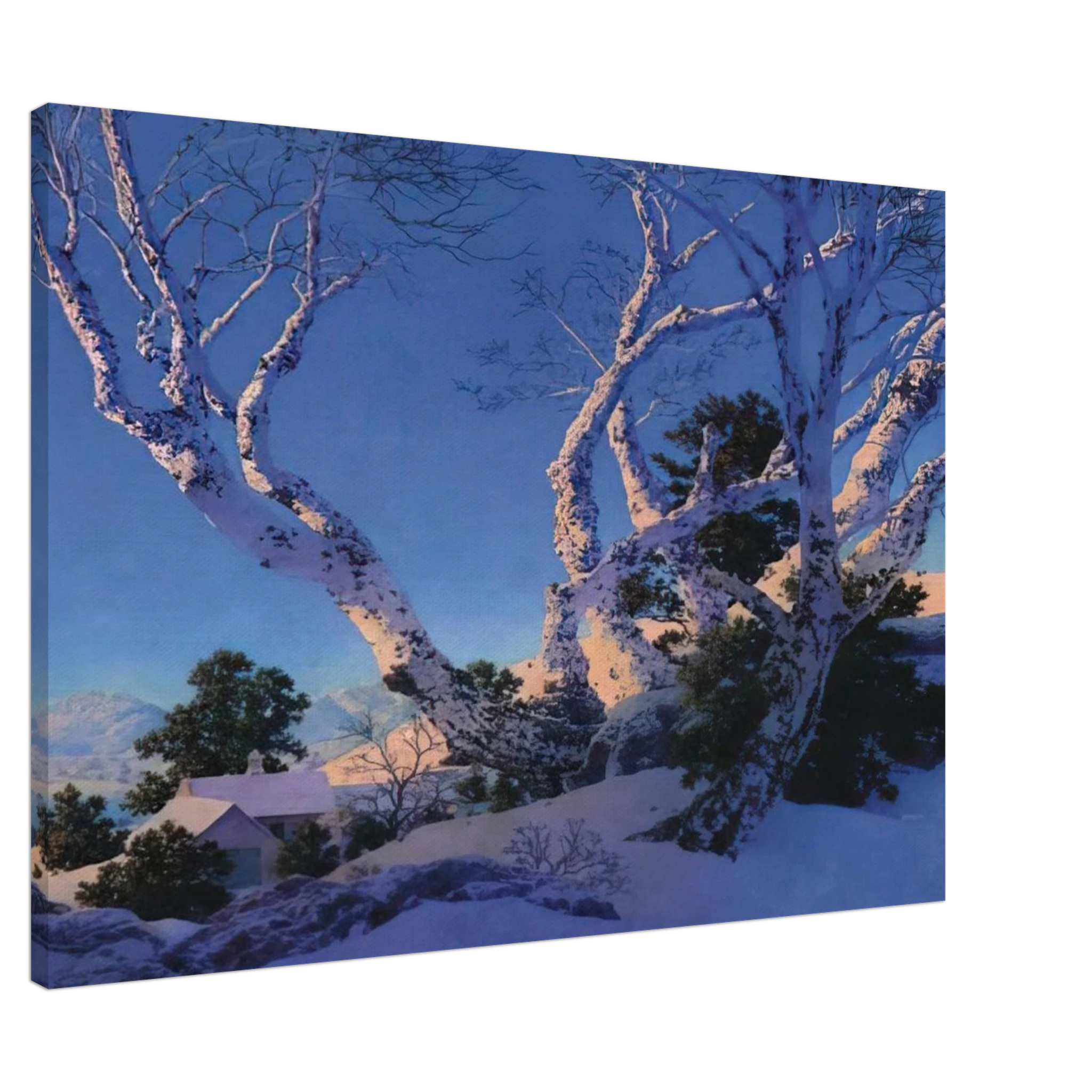 57012ea3-7b97-49b8-a17d-28ffd468b175