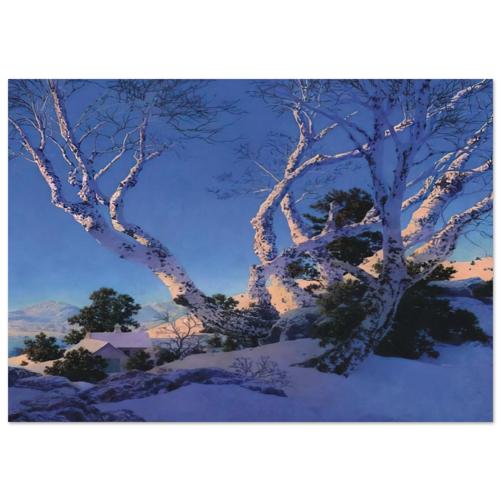 583f25ad-41c8-4dd5-937e-1746e2dc643e