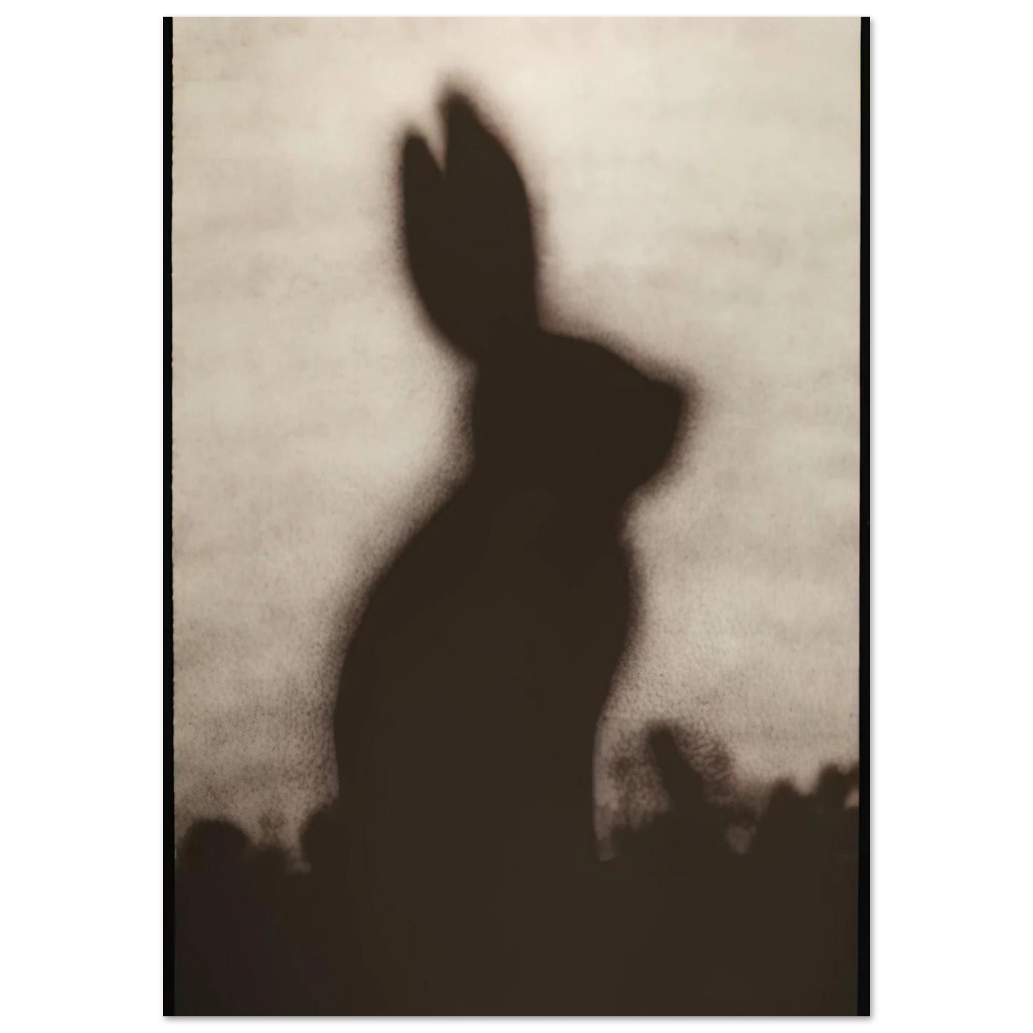 6007820a-fe36-4657-8bb7-e4287ae776b2