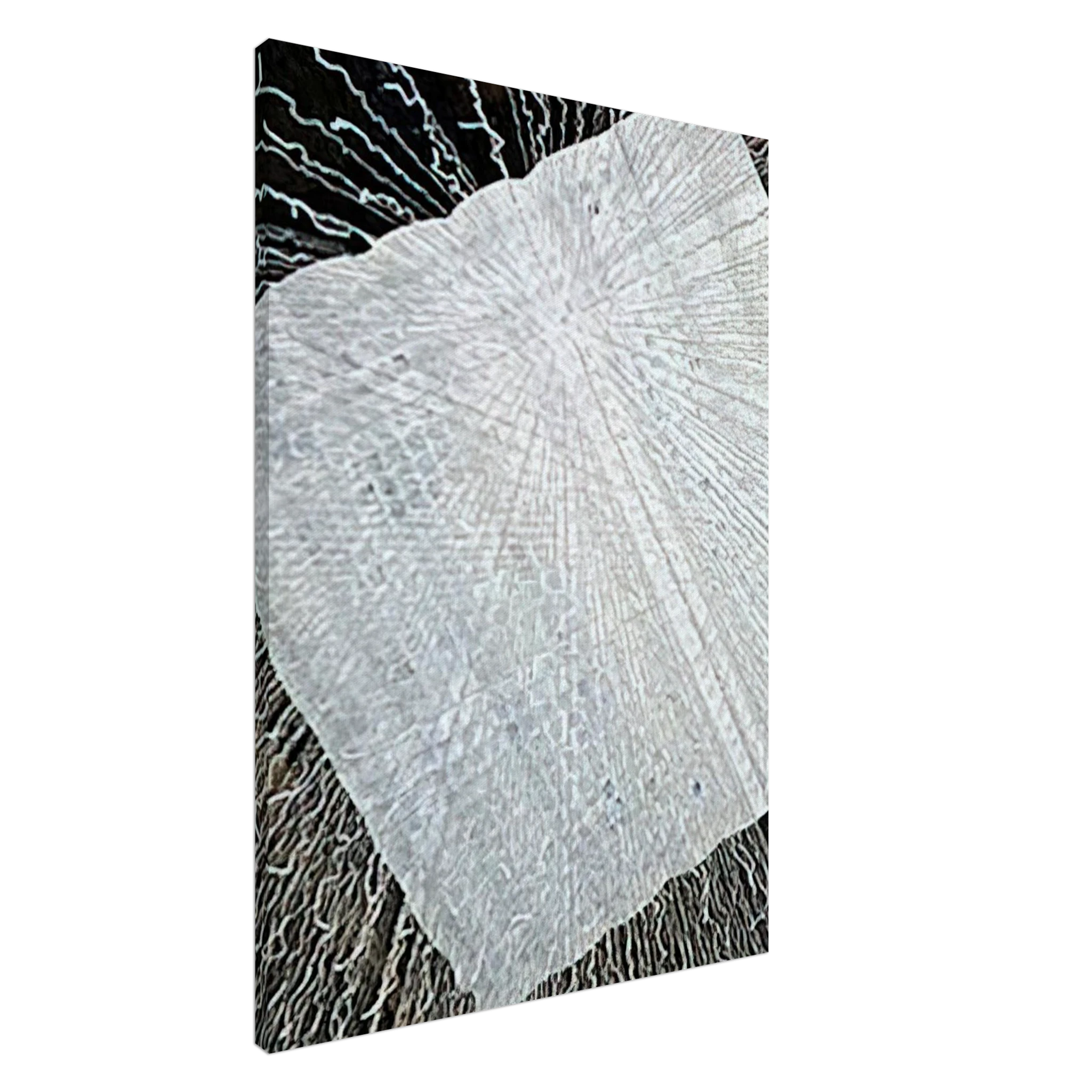 6b5166bd-e9bd-4275-9fd7-2037d80036bb