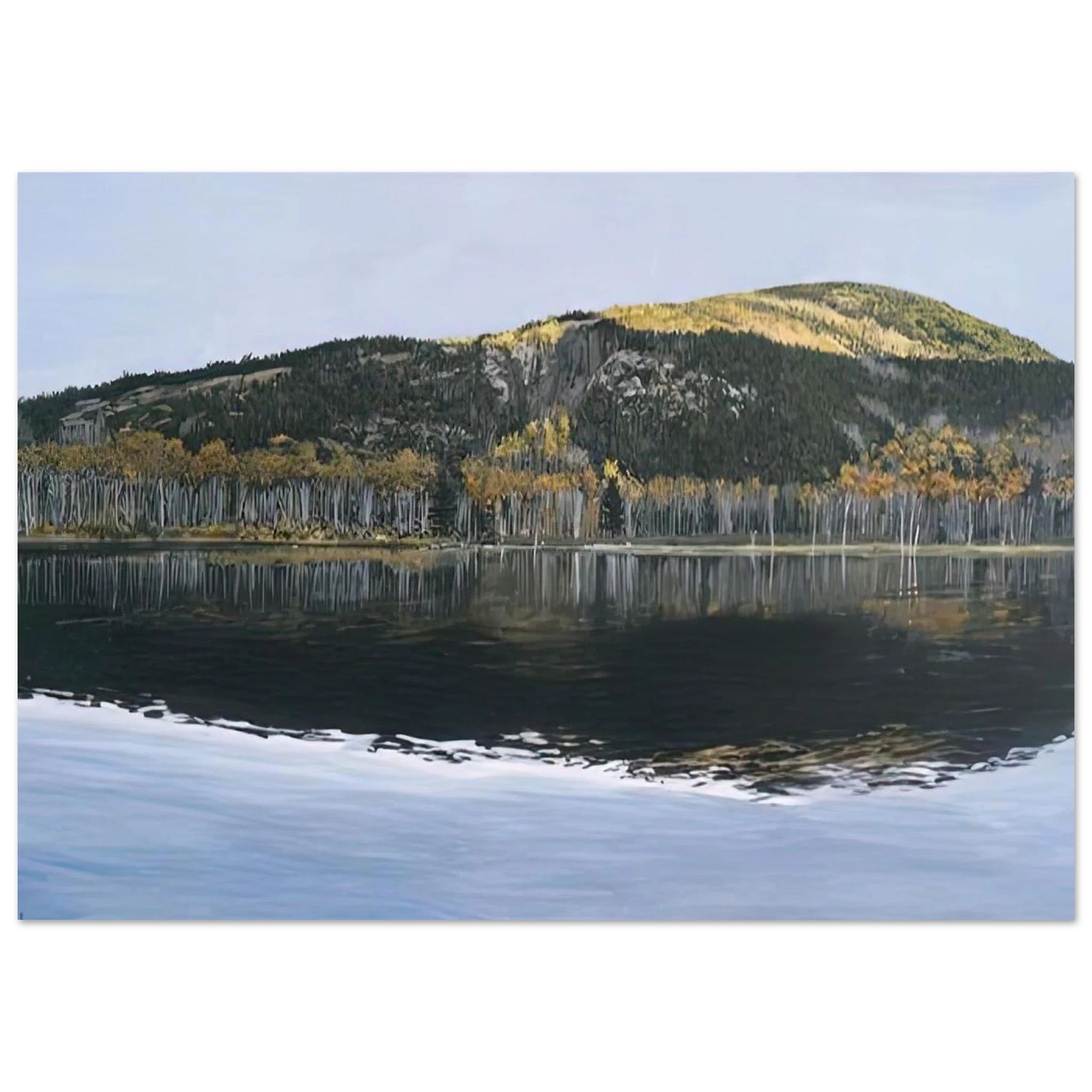 75770d50-cb68-4c06-9cce-eb8c65cc193c