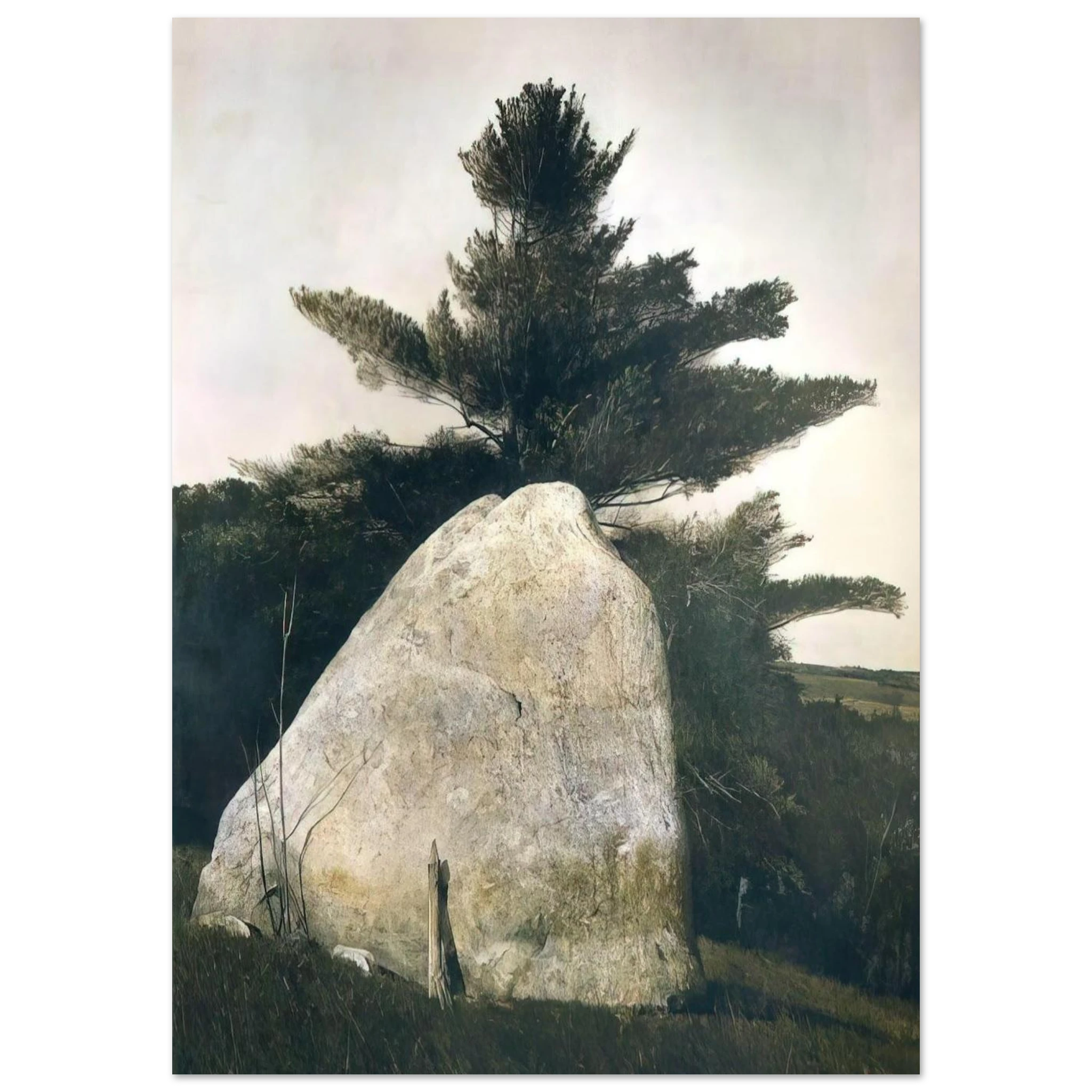 85fcb7ba-5d5d-4642-a384-ebb0c258b990