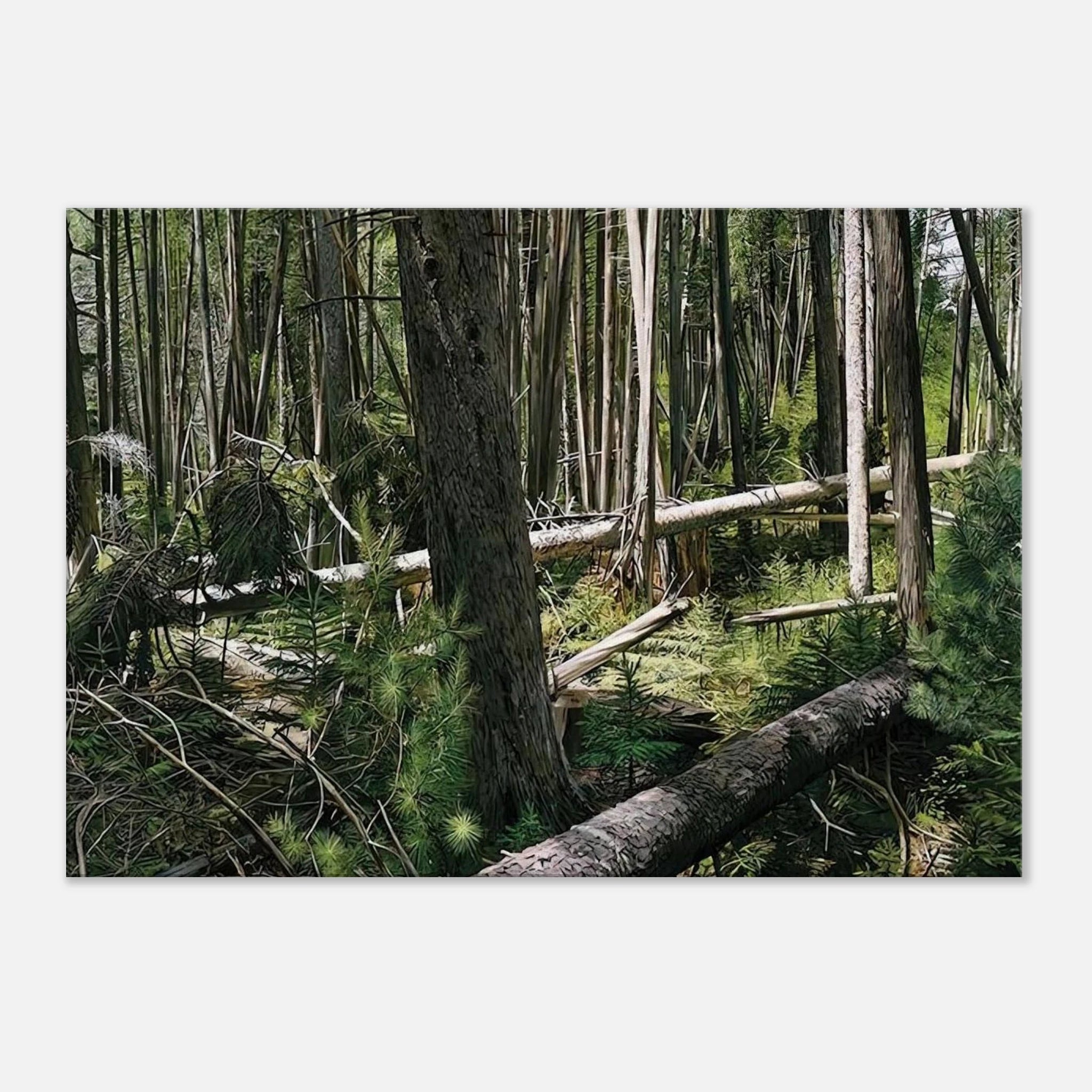 8c66216e-ba10-45a9-8cad-e27c3b36efa1