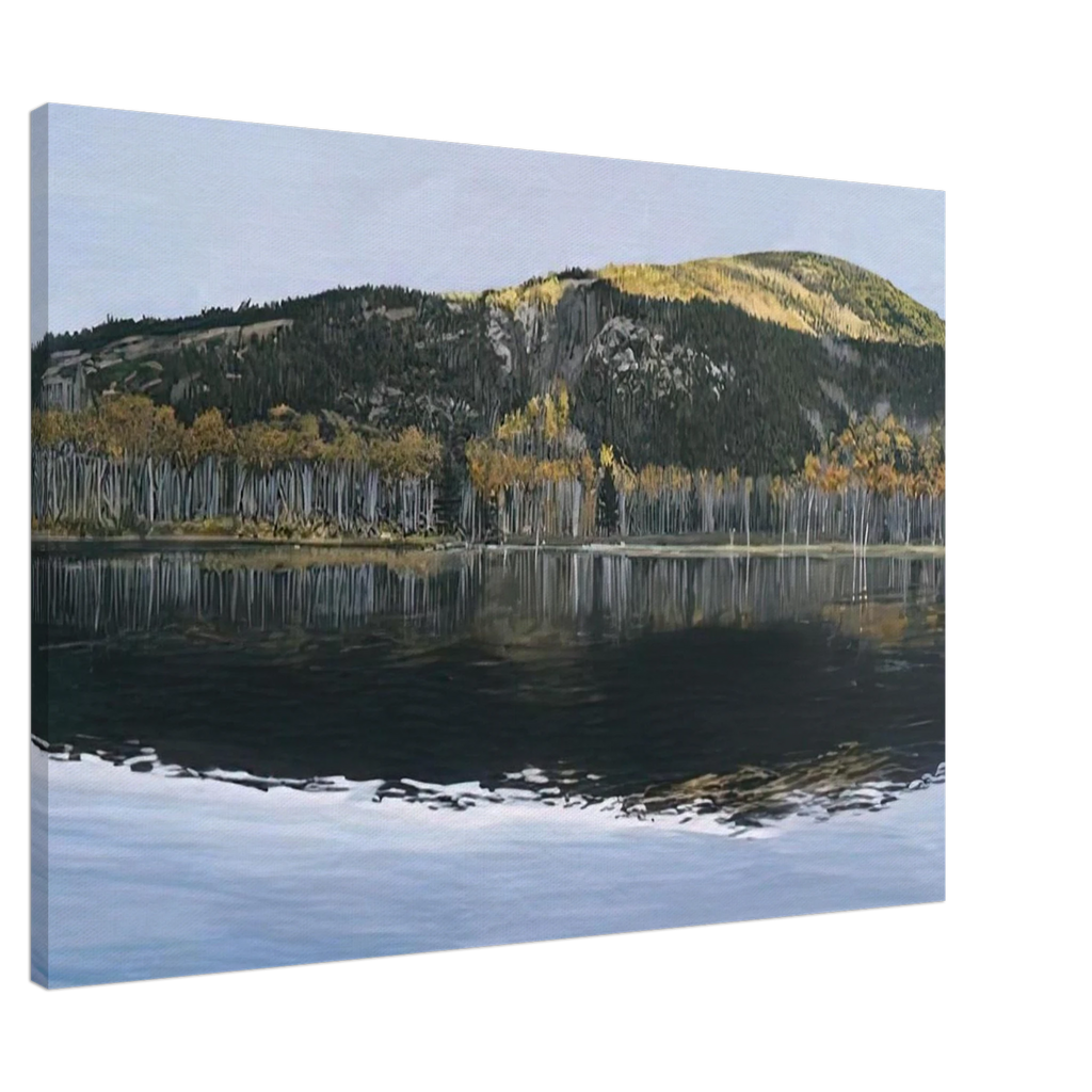 a0ff1b1d-8f0d-4bd5-90a5-58a1ce5acd95