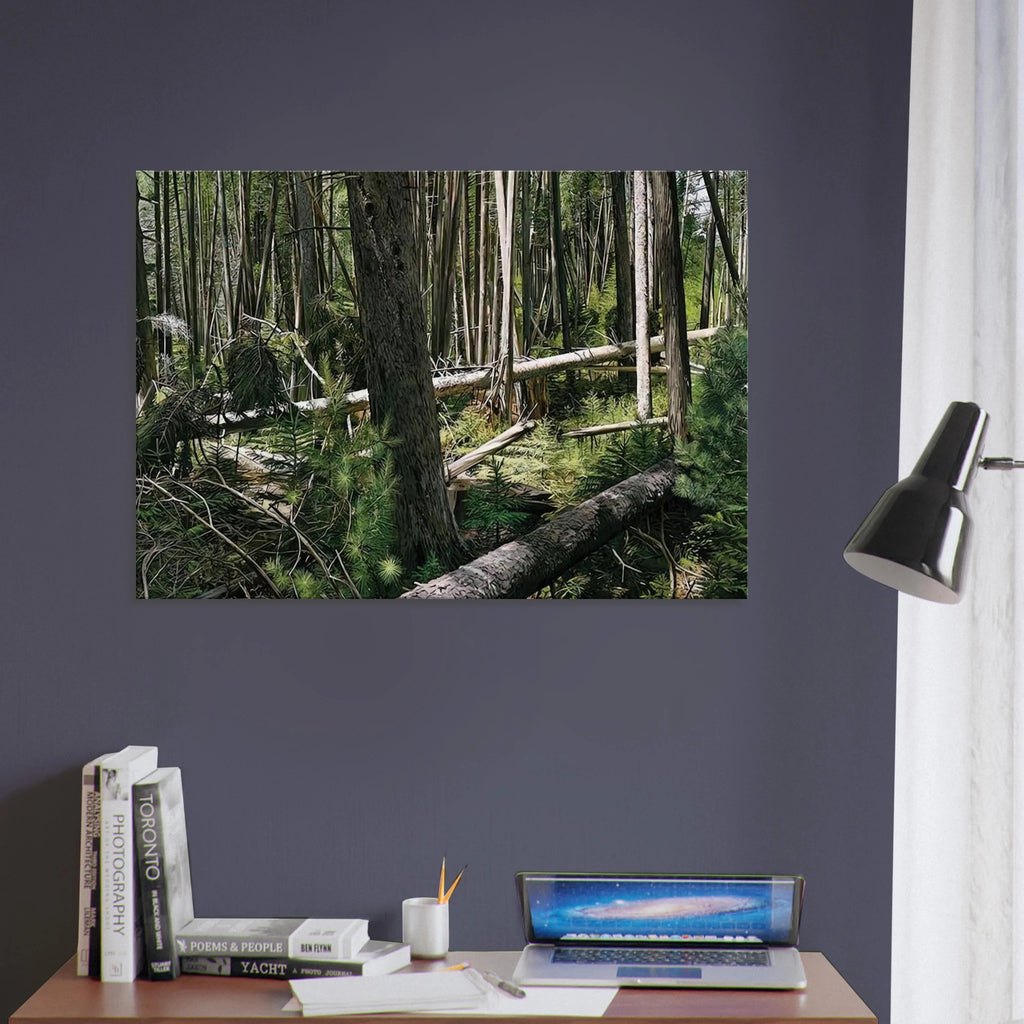 a60d9306-9f1f-417d-9e81-53c353c5a89b