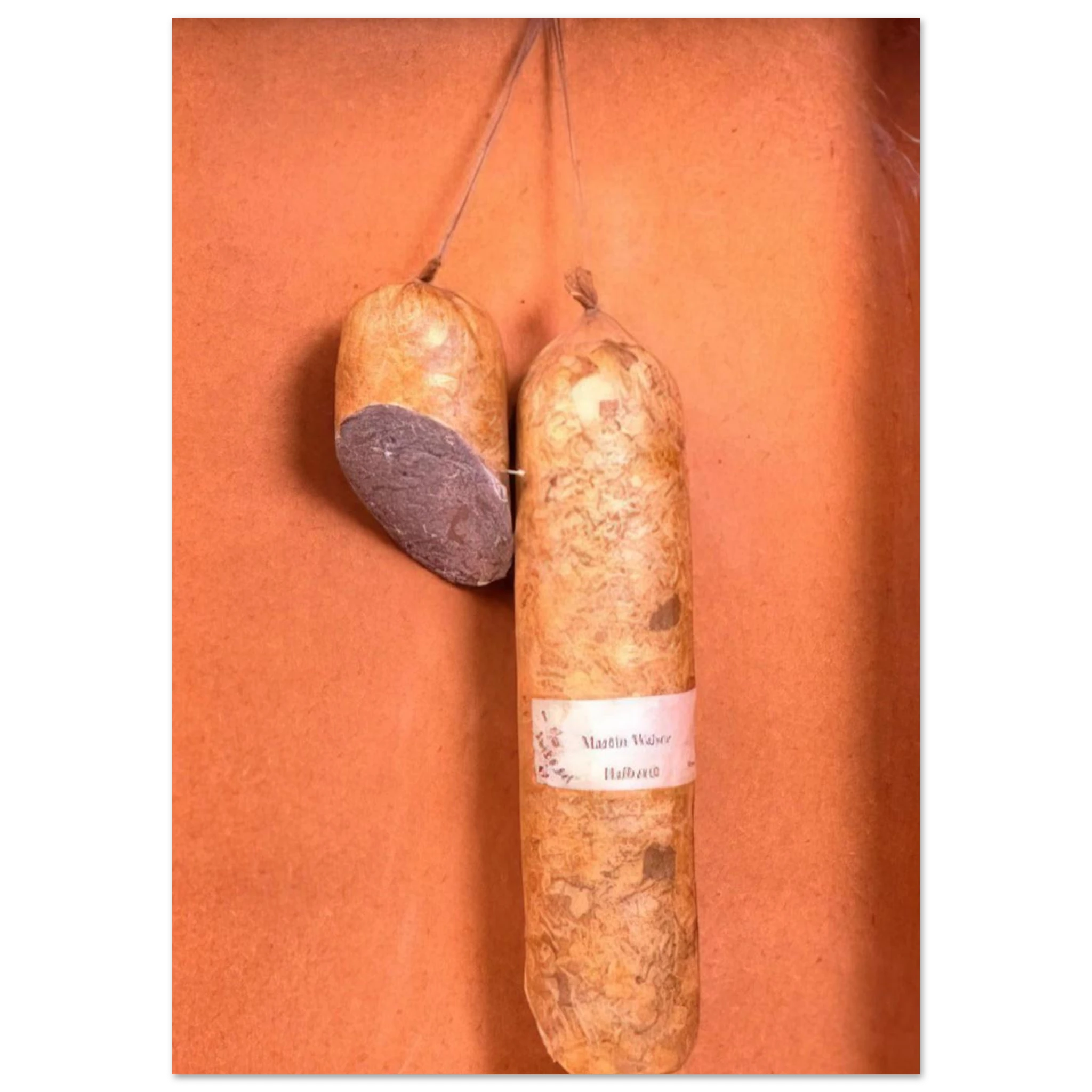 bae4a121-a673-4eb4-87a4-b041536baf23