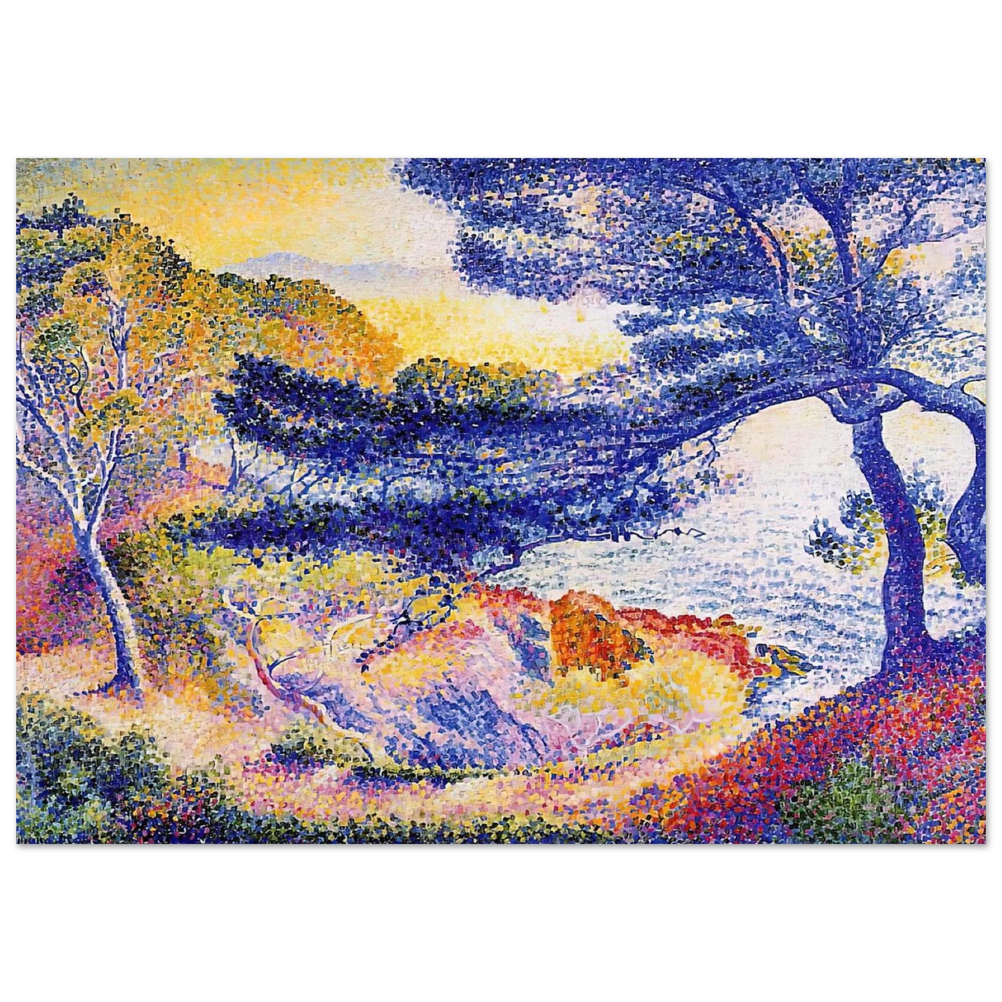 c43ccc41-b72d-4d5a-9f24-a9641796107f