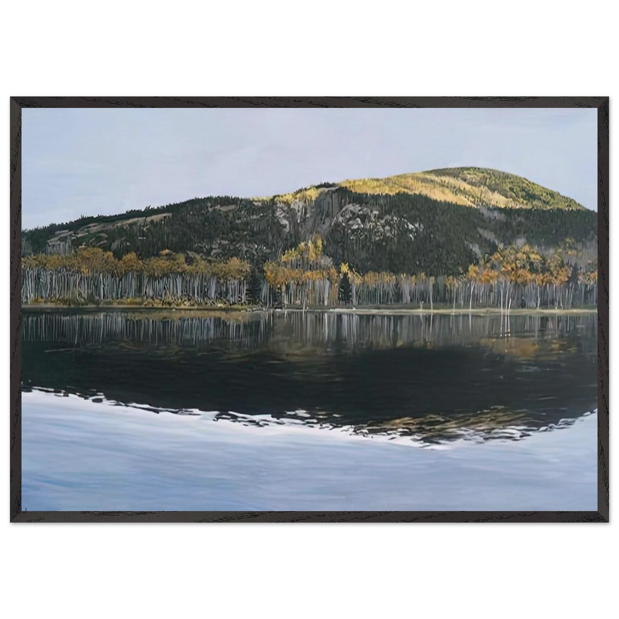 e585236f-6ed3-4fd5-9f59-e72a33916cfe